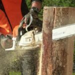 Préparer son terrain avant des travaux : pourquoi la tronçonneuse devient vite indispensable